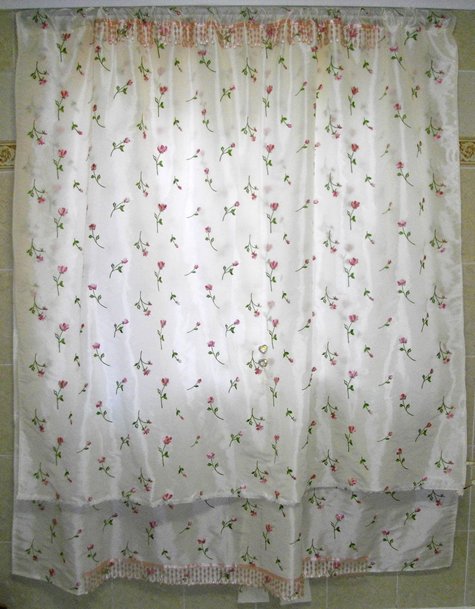 Bathroom_curtains1_large