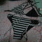Dsc03249_grid