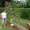 Shorts_sunflowers_grid