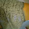 Shoulder_grid