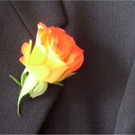 Rose_20a_20la_20boutonniere_listing