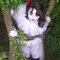 Photoshooooot_046_grid