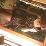 Pj_2_thumb