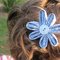 Blue_flower_in_hair_grid
