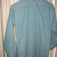 Green_shirt_p7043669_listing