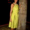 Dsc07035_grid