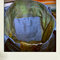 000_0214-pola_grid
