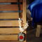 Dsc07275_grid
