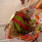 Dsc07253_grid