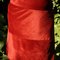 Roter_rock_ohne_4__grid