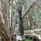 Armyjacket1_grid