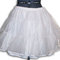 Petticoat_grid