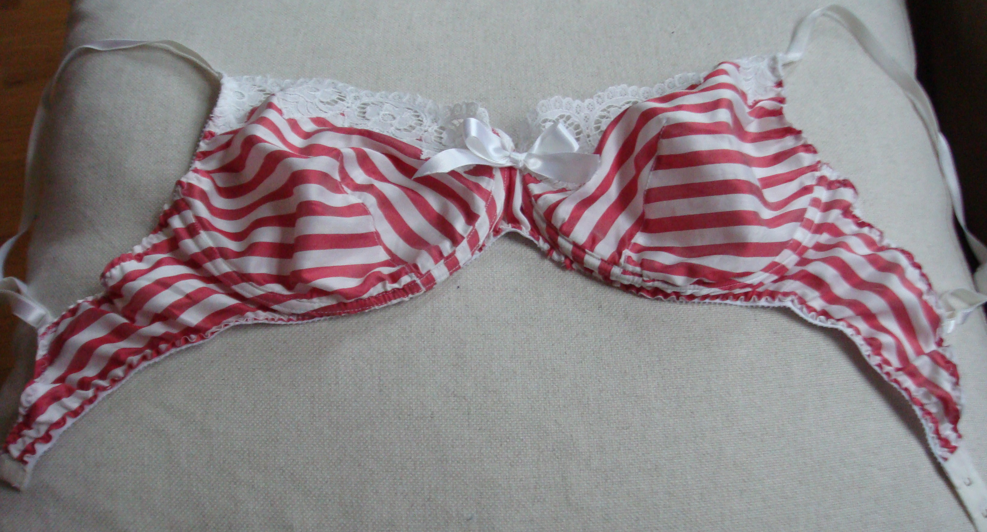 The Simple Darted Bra... Sewing Projects