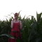 Dsc04267_grid