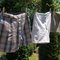 Shorts_for_dd1_grid