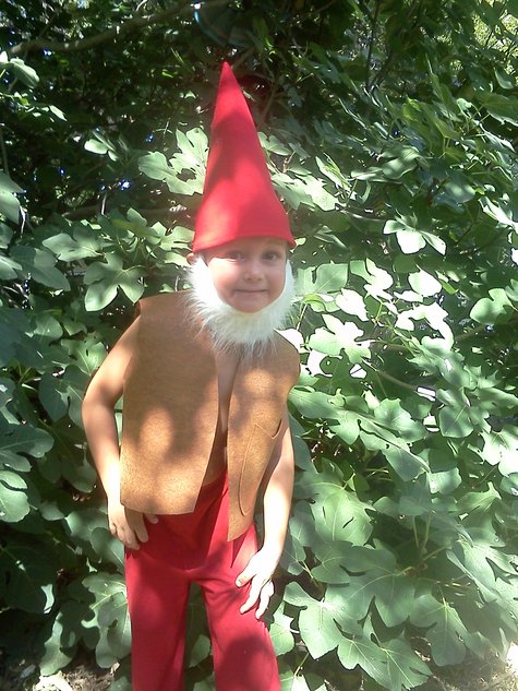Walter_gnome_1_large