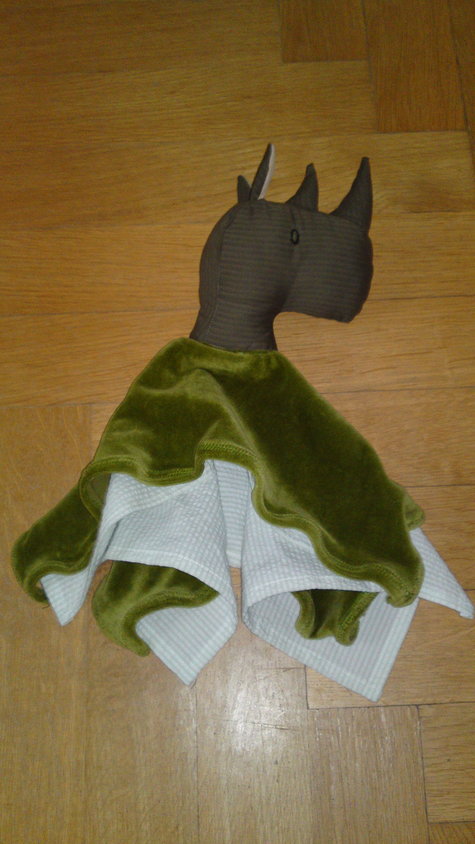 29072011146_large