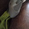 29072011148_grid