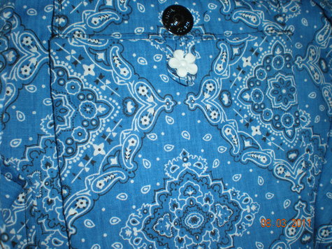 Dscn1961_large