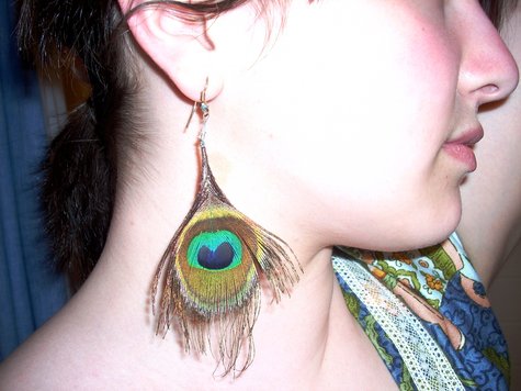 Peacock_2_large