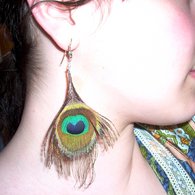 Peacock_2_listing