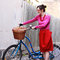 Redskirt2_grid