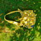 Dsc03184_grid