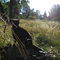 Gro_n_grid