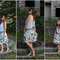 2011-07-051_grid