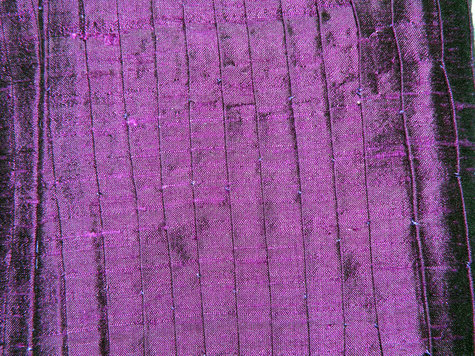 Dscn4297_large