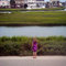 Dsc04834_grid