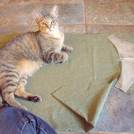 Dscf5238_listing