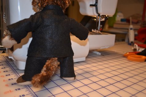 Monkey_suit_back__large