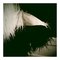 Fab_5_freddy_faux_fur_pocket_grid