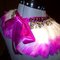 Img-20110906-01630_grid