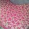 Strawberry_shortcake_blanket_grid