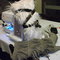 Dscf1733_grid