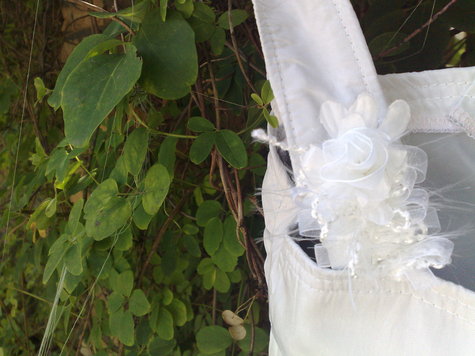 05072011091_large