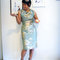 Chinesedress2_grid