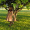 Dscn0945_grid