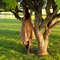 Dscn0947_grid