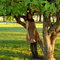 Dscn0949_grid