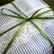 100_4657_2_grid