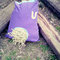 P230911_17_44_copy_grid
