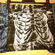 Suzy_toxxik_skelett_rock_listing