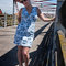 Sw_insp_106w_grid