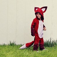 Fox3_listing