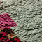 Dsc_3484_grid