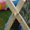 The_monkey_s_birthday_party_2011_015_grid