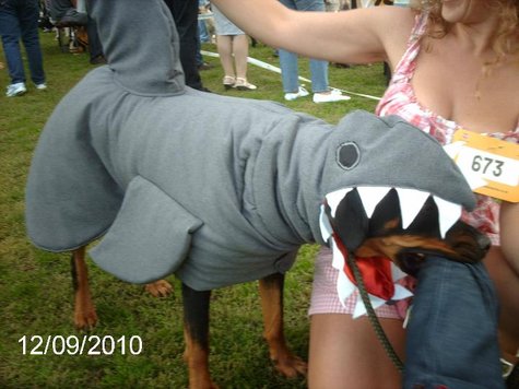 Roxy_shark_xx_large
